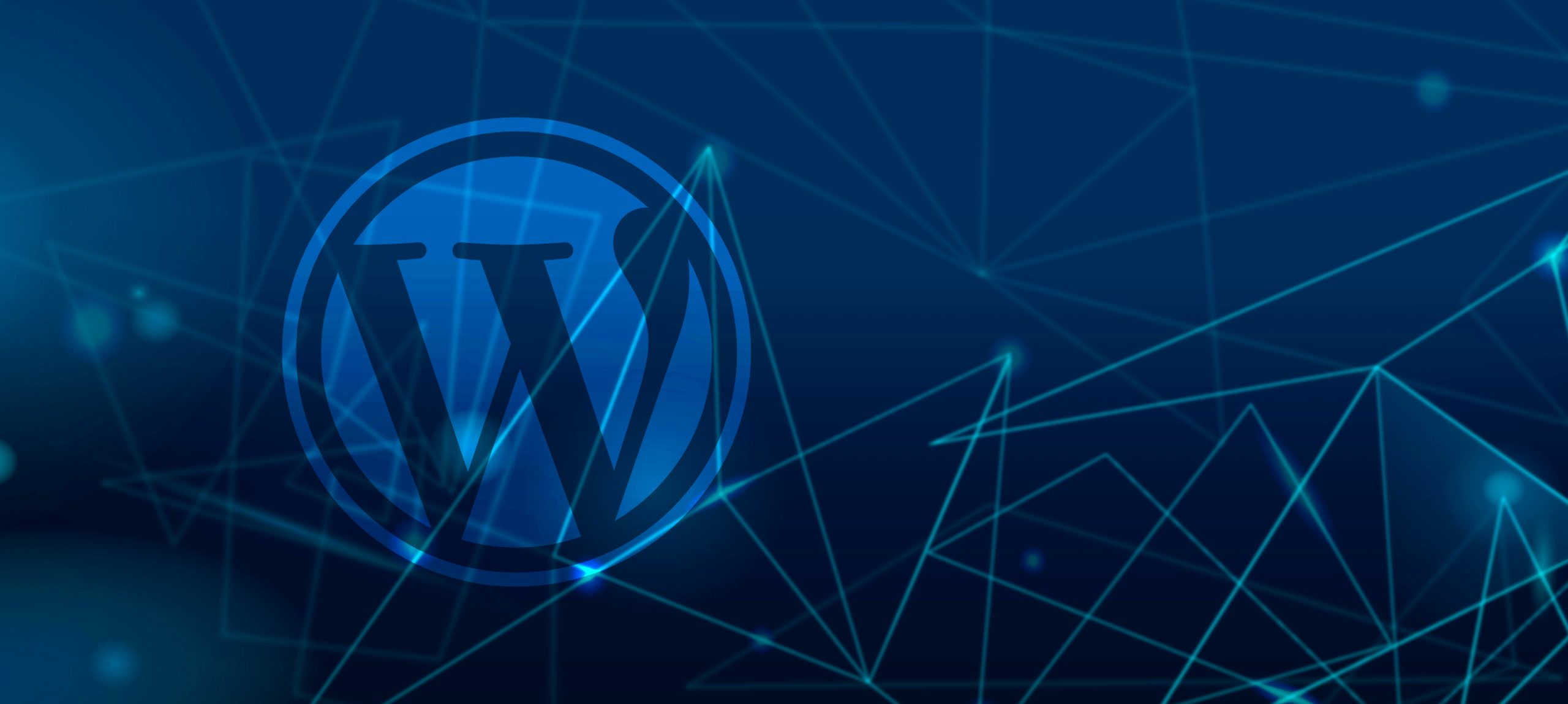 Square One Software WordPress Services